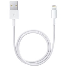 APPLE Lightning to USB cable (0.5 m)