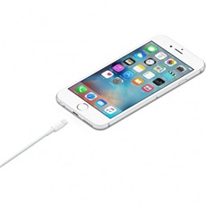 APPLE Lightning to USB cable (1 m)