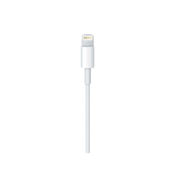 APPLE Lightning to USB cable (1 m)