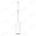 APPLE Thunderbolt to FireWire Adapter