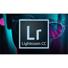 Adobe Lightroom w Classic for teams Multi European Languages Licensing Subscription New MPL Level 1 NF