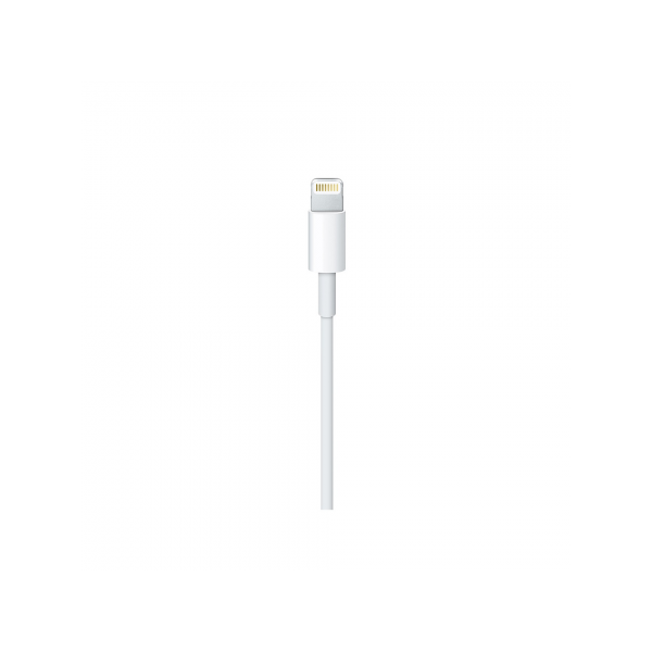 Apple Lightning to USB-C Cable (2m)