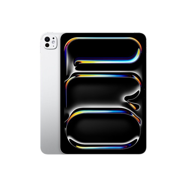 Apple iPad Pro 11 ` (M4) WiFi 256GB with Standard glass - Silver