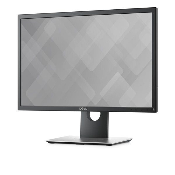 DELL LCD Monitor 22