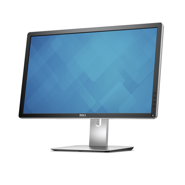 DELL LCD Monitor 24