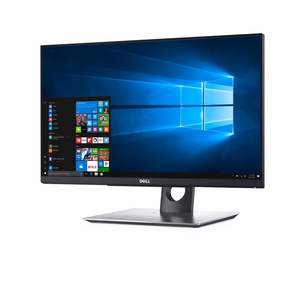 DELL LCD Monitor 24