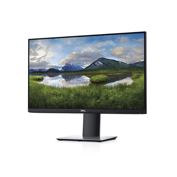DELL LCD Monitor 24