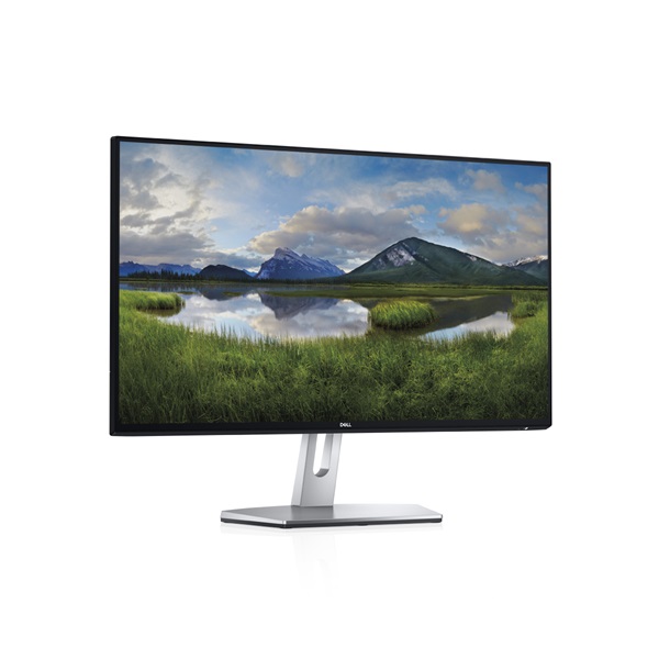 DELL LCD Monitor 24