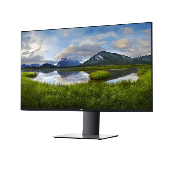 DELL LCD Monitor 27