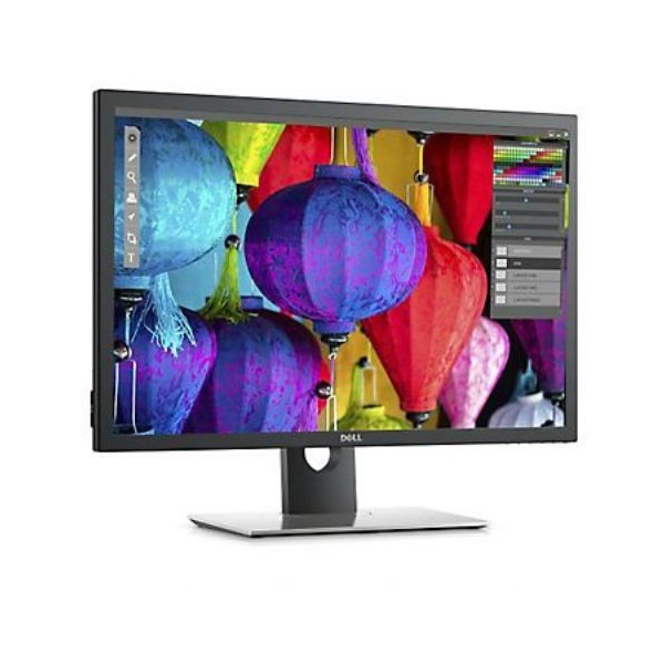 DELL LCD Monitor 30