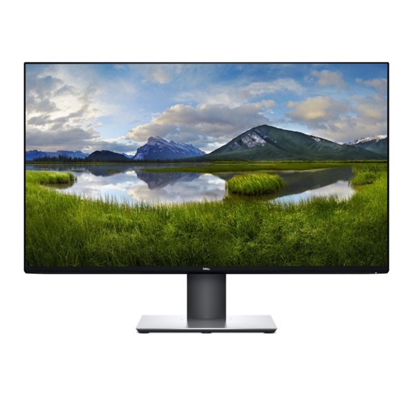 DELL LCD Monitor 31.5