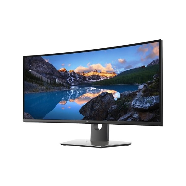 DELL LCD Monitor 34