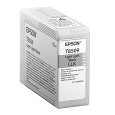 EPSON Tintapatron Singlepack Light Light Black T850900