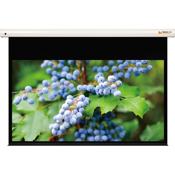 FUNSCREEN 110" (16:9) Premium Plus motoros vetítővászon (Méret: 244x137, Látható méret:234x132 cm)