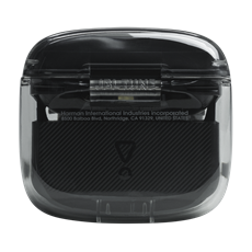 JBL Tune Flex Ghost Edition (Vezeték nélküli füllhallgató), Black Ghost