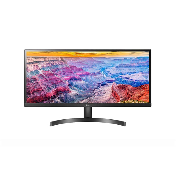 LG IPS 75Hz Monitor 29