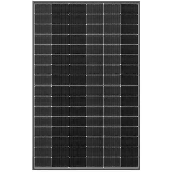 RISEN Energy RSM96-11-450BNDG D.Glass 450W