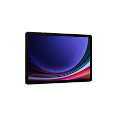 SAMSUNG Tablet Galaxy Tab S9 11" 5G, 256GB/12GB, Grafit