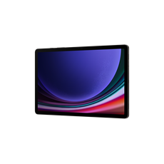 SAMSUNG Tablet Galaxy Tab S9 11" 5G, 256GB/12GB, Grafit