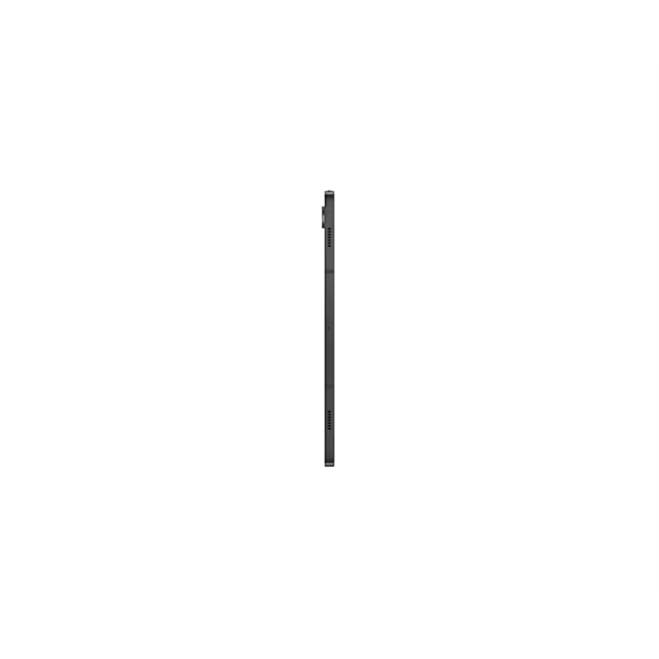 SAMSUNG Tablet Galaxy Tab S9 (Wi-Fi), 256GB/12GB, Szürke