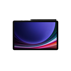 SAMSUNG Tablet Galaxy Tab S9 (Wi-Fi), 256GB/12GB, Szürke