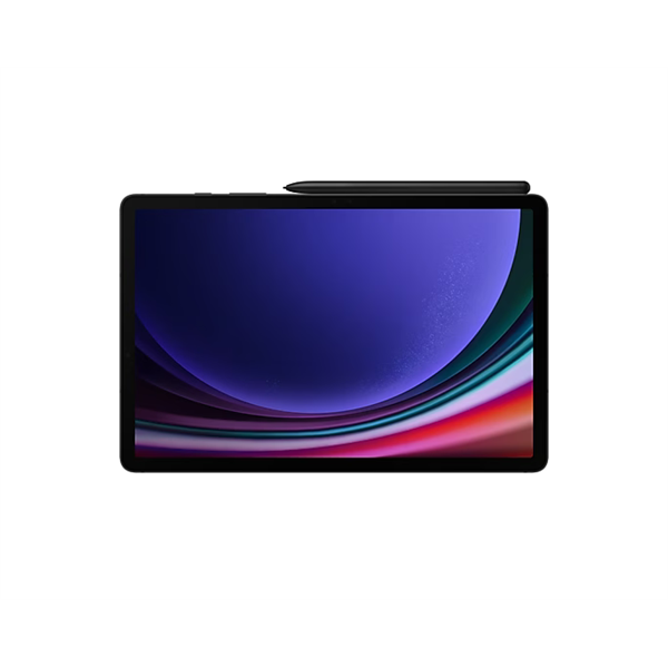 SAMSUNG Tablet Galaxy Tab S9 (Wi-Fi), 256GB/12GB, Szürke