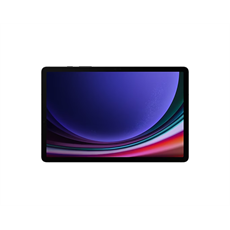 SAMSUNG Tablet Galaxy Tab S9 (Wi-Fi), 256GB/12GB, Szürke