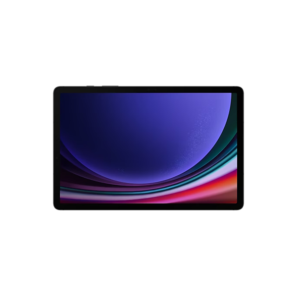 SAMSUNG Tablet Galaxy Tab S9 (Wi-Fi), 256GB/12GB, Szürke