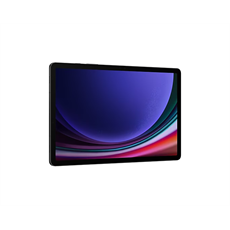 SAMSUNG Tablet Galaxy Tab S9 (Wi-Fi), 256GB/12GB, Szürke
