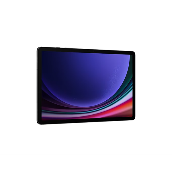 SAMSUNG Tablet Galaxy Tab S9 (Wi-Fi), 256GB/12GB, Szürke