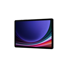 SAMSUNG Tablet Galaxy Tab S9 (Wi-Fi), 256GB/12GB, Szürke