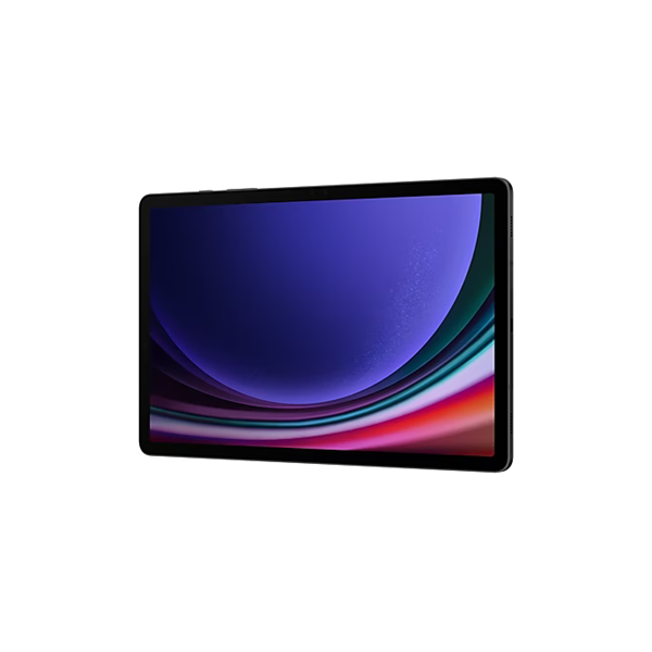 SAMSUNG Tablet Galaxy Tab S9 (Wi-Fi), 256GB/12GB, Szürke
