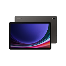 SAMSUNG Tablet Galaxy Tab S9 (Wi-Fi), 256GB/12GB, Szürke