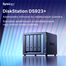 SYNOLOGY NAS 4 Fiókos AMD Ryzen R1600 2x2,6GHz, 32GB DDR4 ECC, 2x1GbE, 2xUSB3.2 - DS923+32G