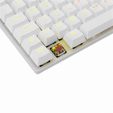 WHITE SHARK COMMANDOS mechanikus (red switch) gamer billentyűzet (magyar), fehér